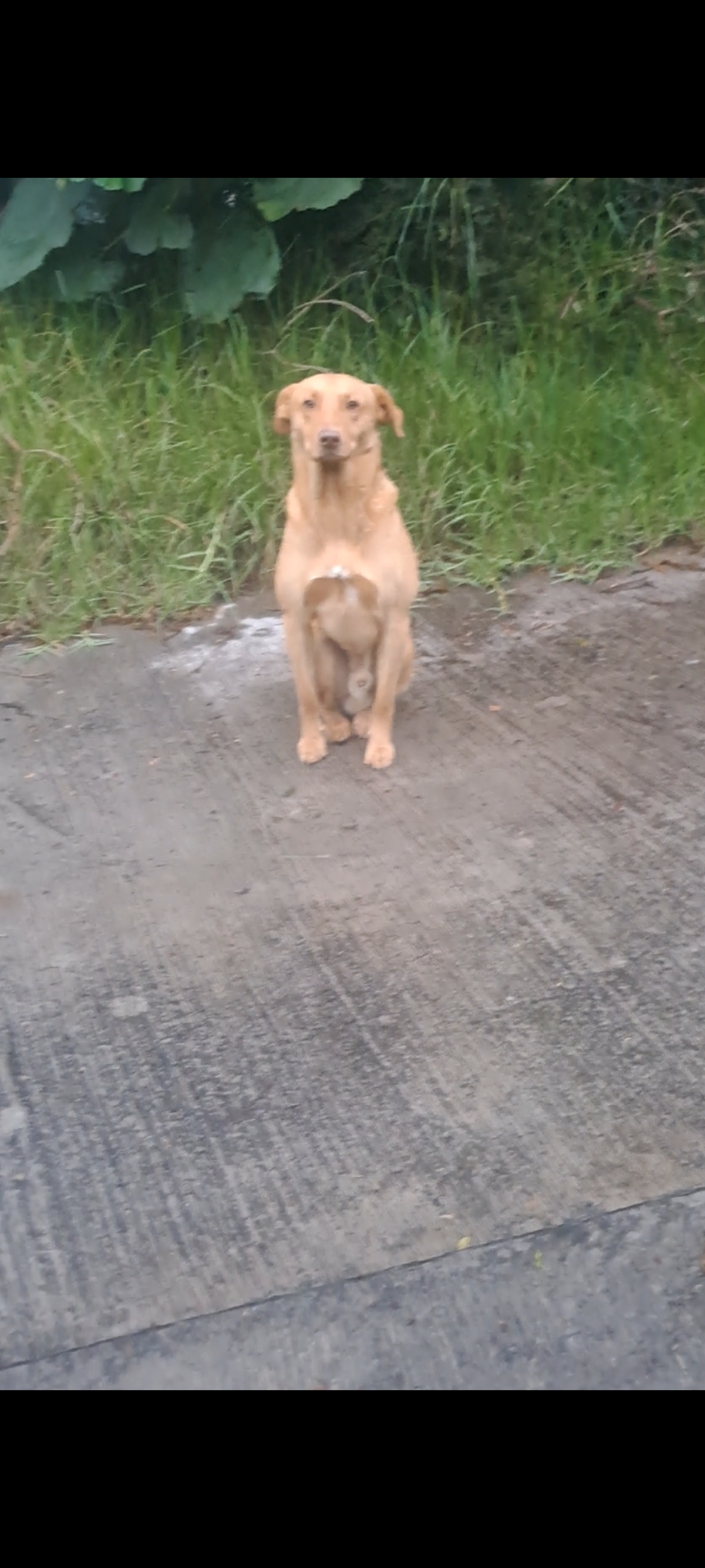 Encontrada – Quetzaltenango