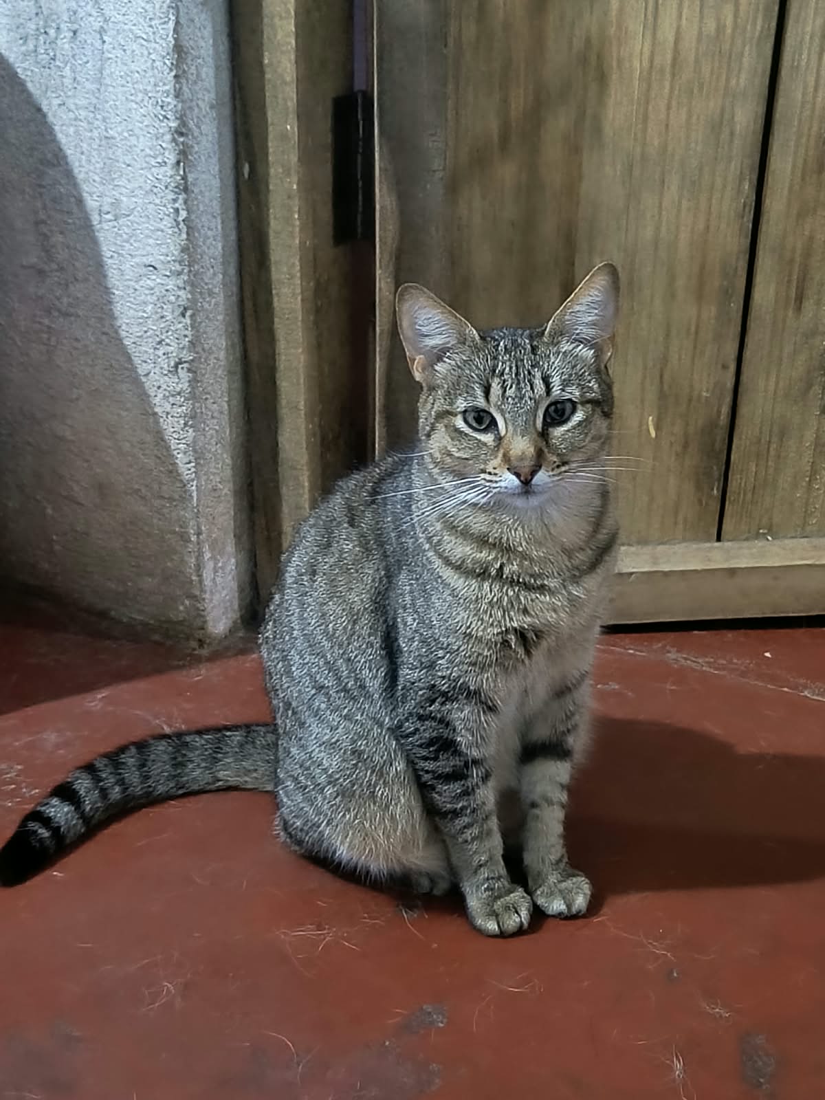 Perdida – Chimaltenango