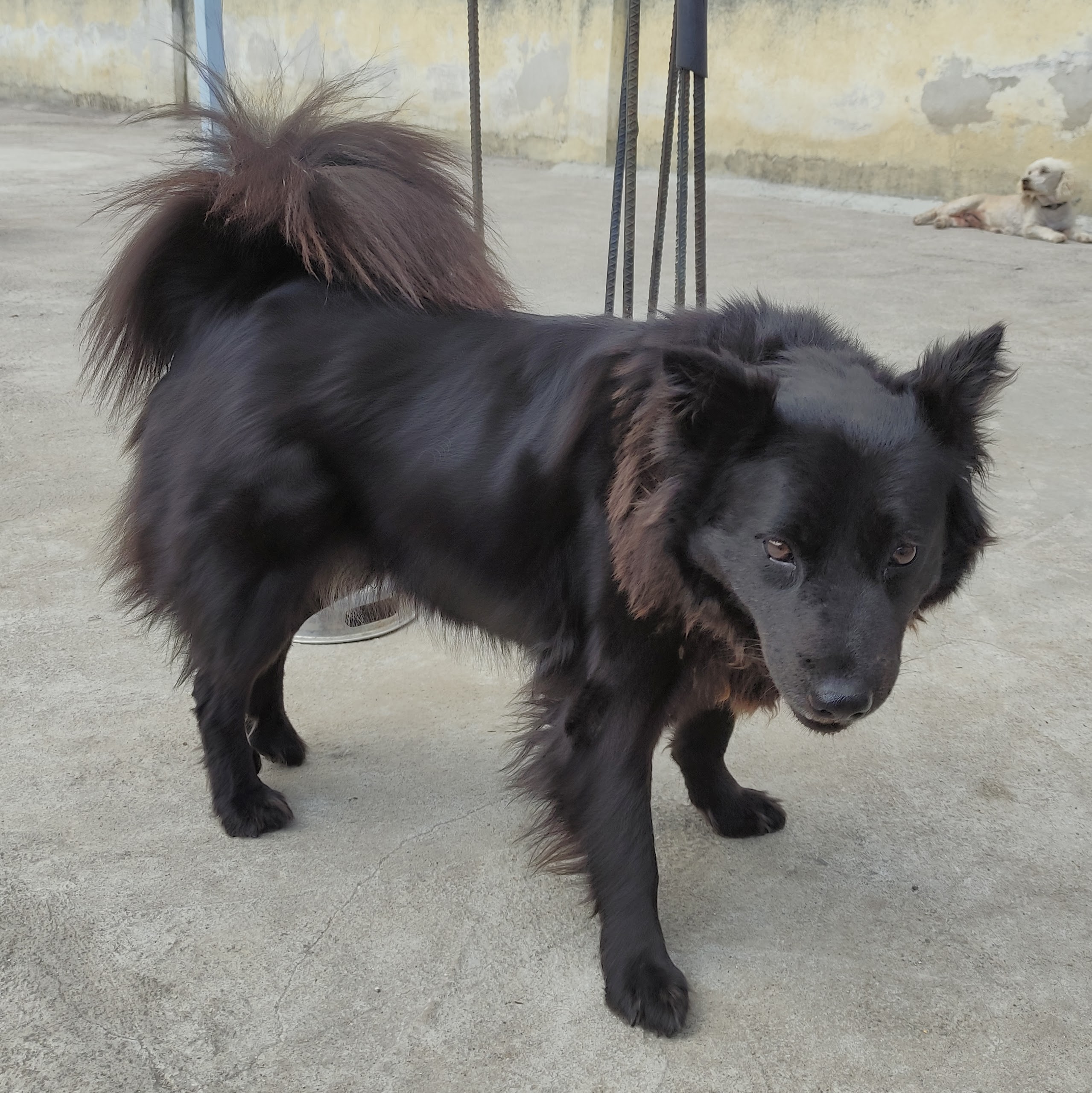 Perdida – Sacatepéquez