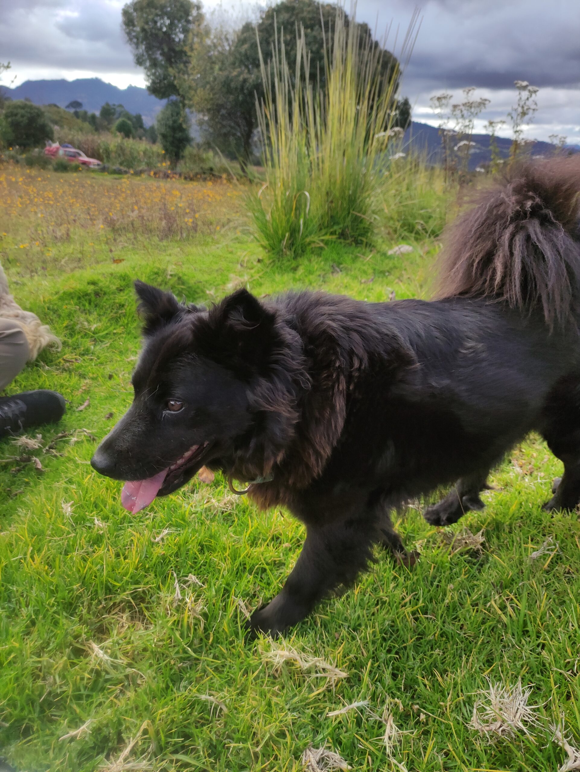 Perdida – Sacatepéquez